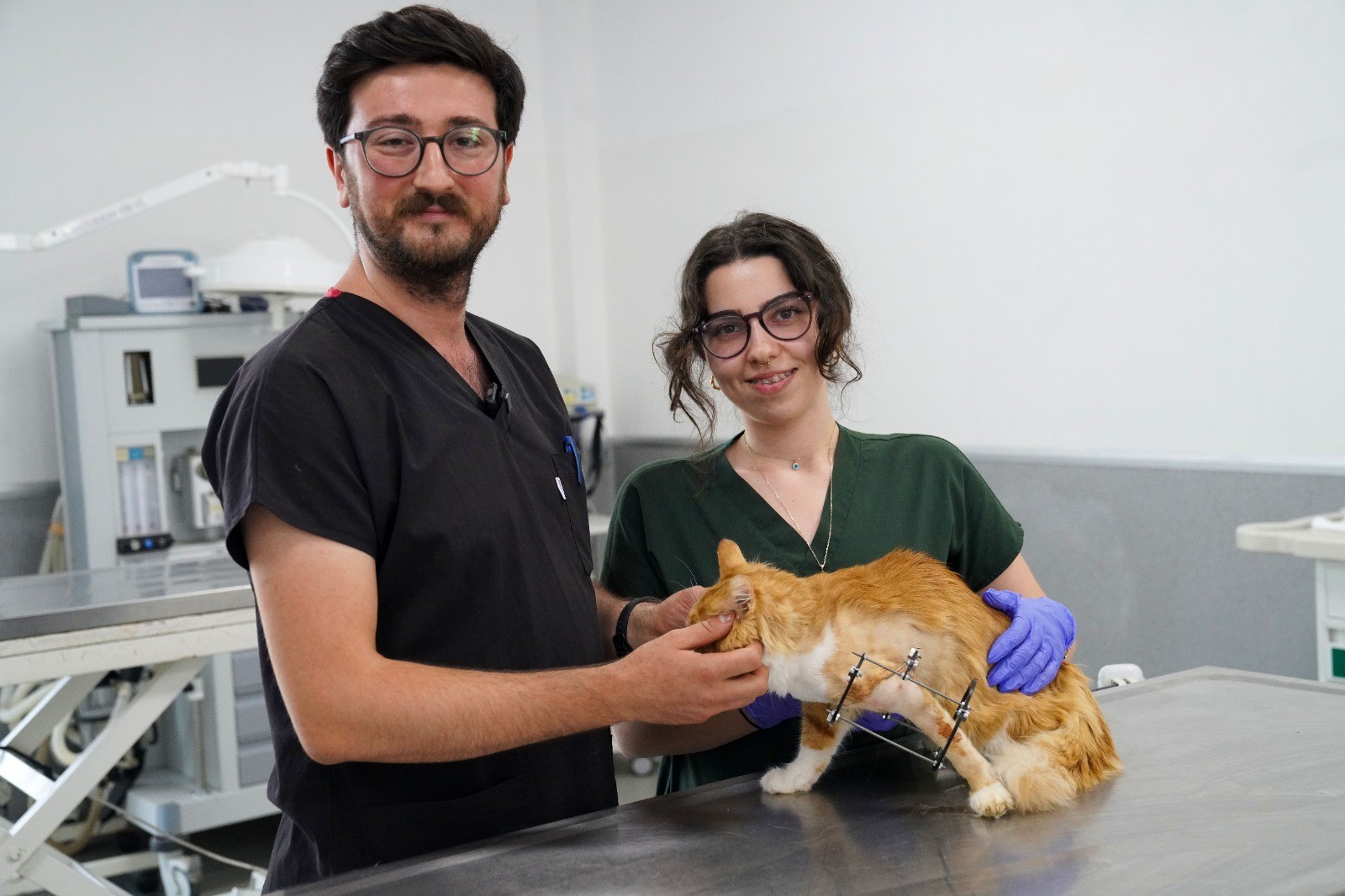 Kedi Balım