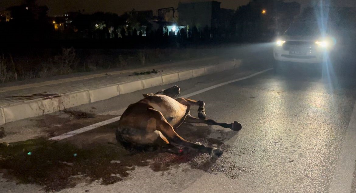 Ata çarpıp kaçtı