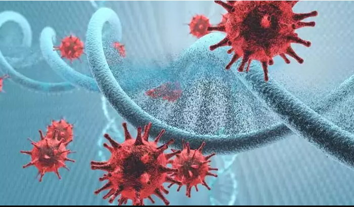 Viral hepatitler