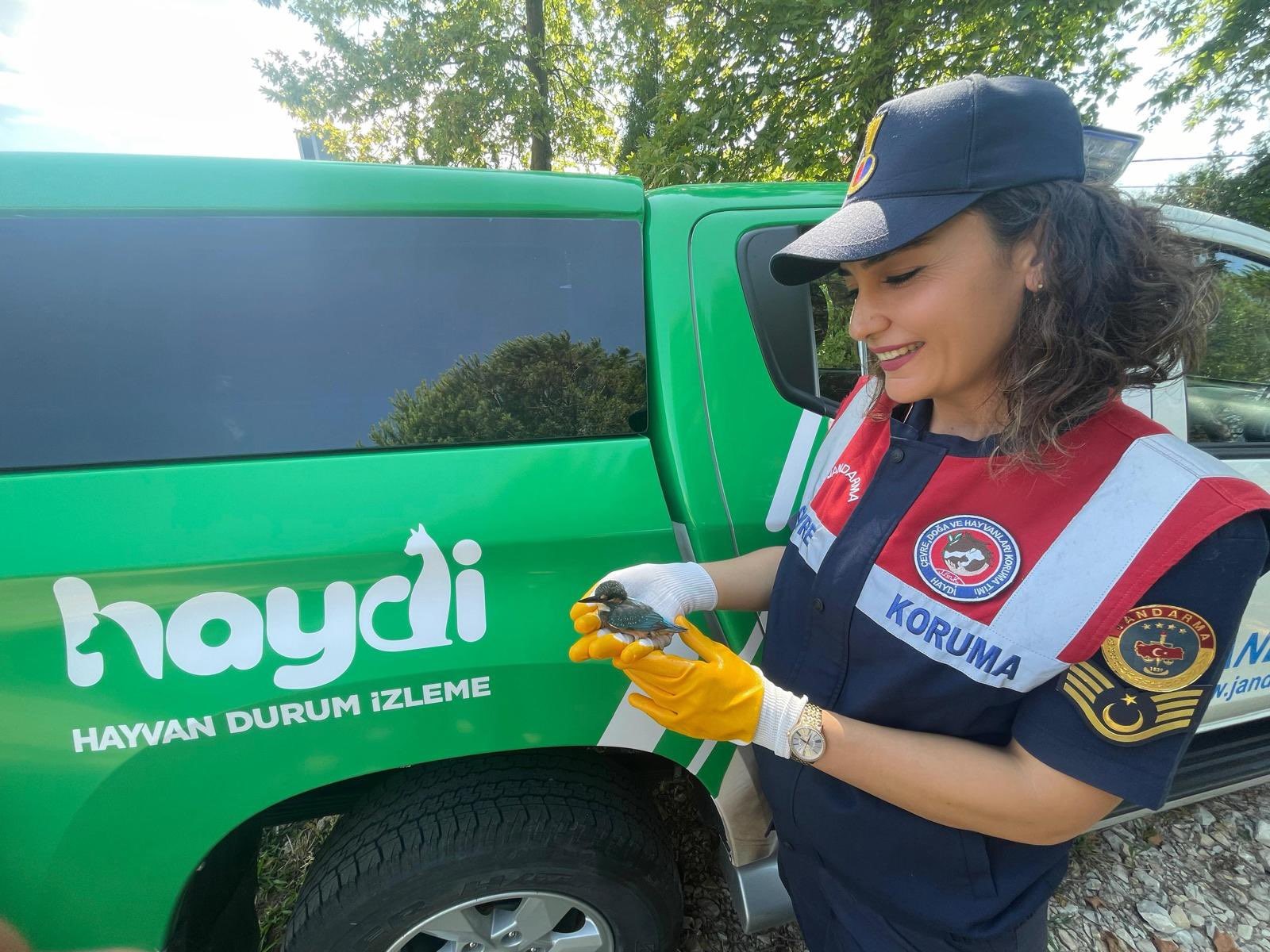 Yalı çapkını tedavi altında